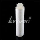 Beverage Filtration 0.2 0.45 10um Nylon PTFE PP Membrane Cartridge Filter