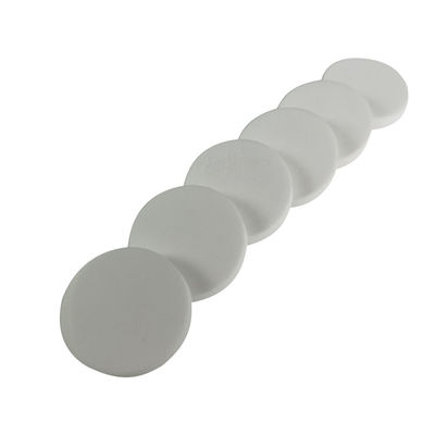 SGS ISO 120mm 200mm Plastic Filter Plate PE Sintered Filter Element
