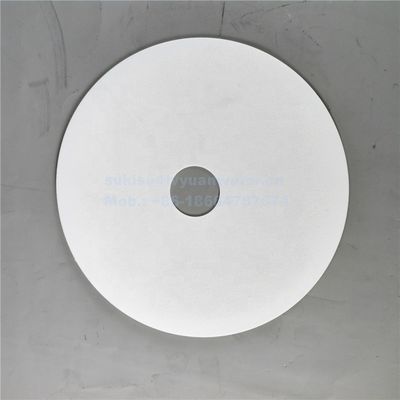 Medical Industry Sintered 60um Polyethylene Porous Filter Disc